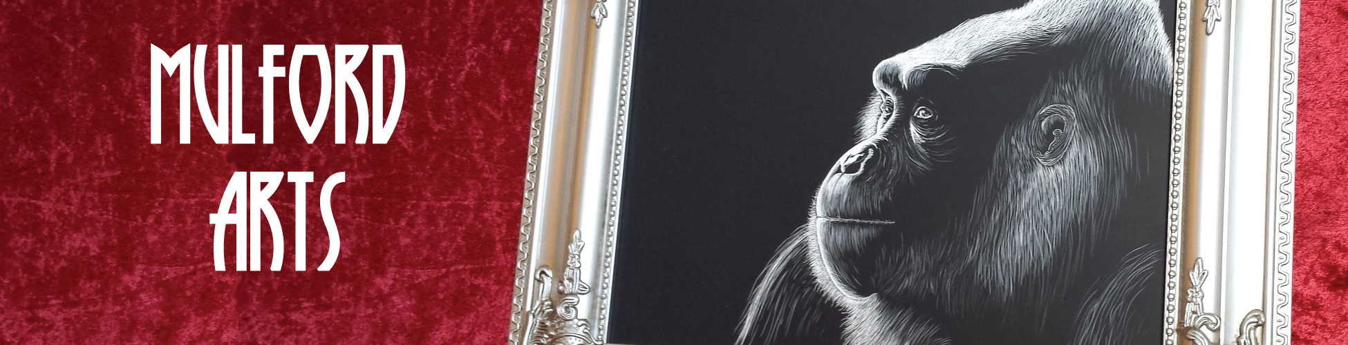 Matt Mulford Mulford Arts Profound Perception Gorilla Scratchboard